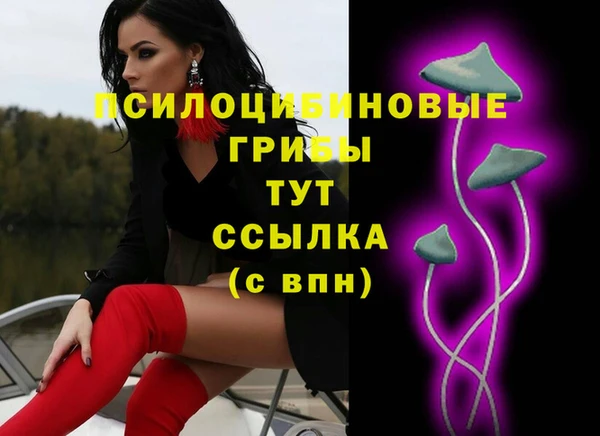 мескалин Надым
