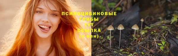 2c-b Нефтегорск