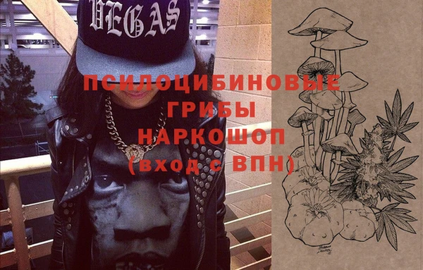 мескалин Надым