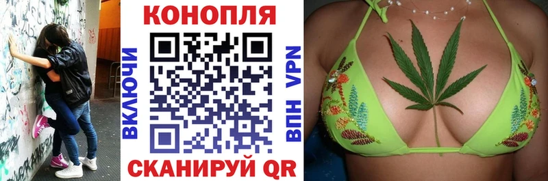 Конопля планчик Холм