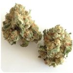 Шишки "White Widow"  (Белая вдова)  Гидропоника -  Бошка VHQ в Холме